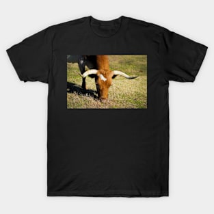 Longhorn Cow In Pasture T-Shirt